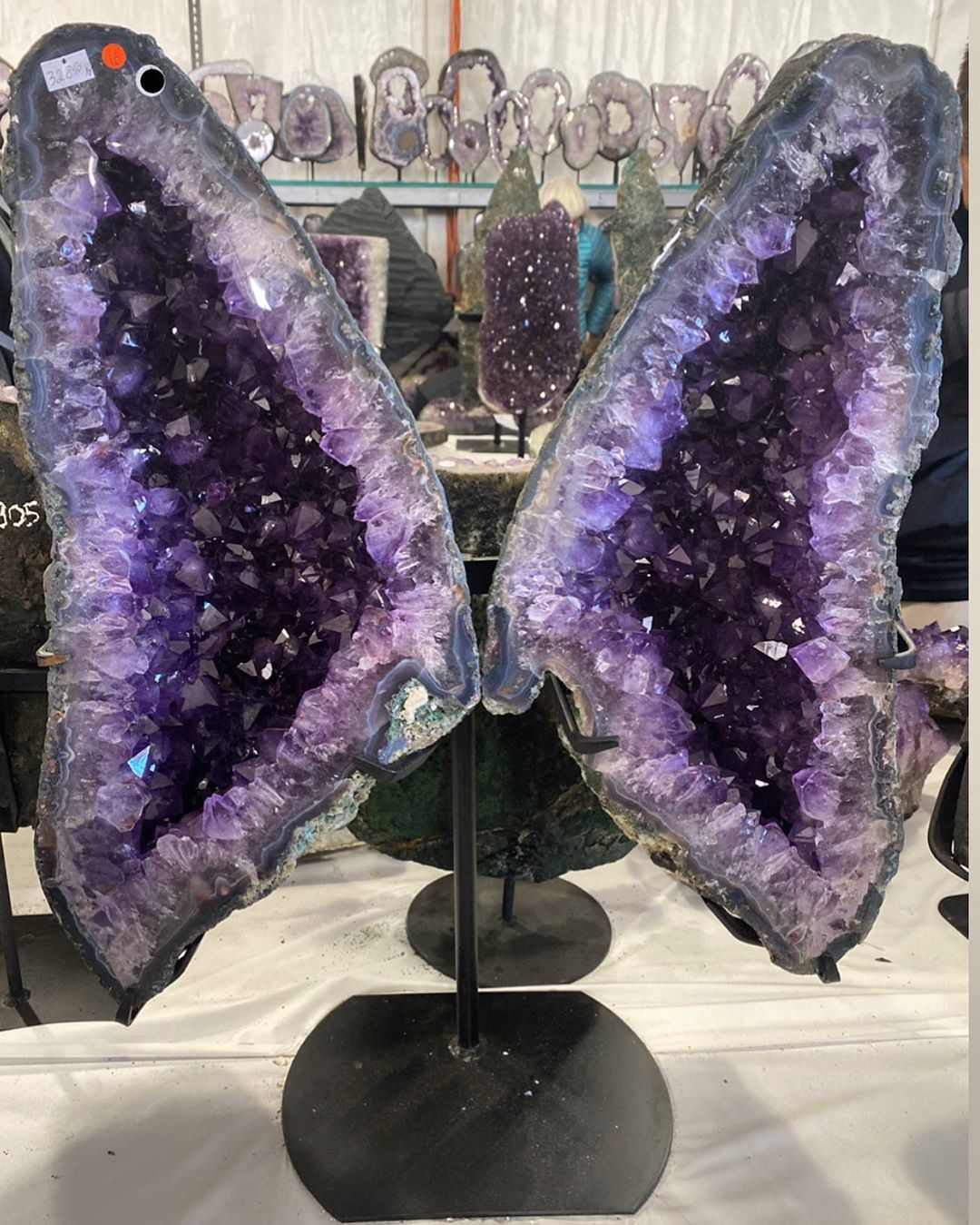 Amethyst Butterfly Wings